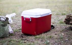 How To Pack A Cooler With Dry Ice Penguin Brand Dry Ice