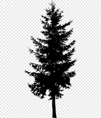 You don't have to drive far to get a christmas tree, but you can if you want to. Pine Larch Evergreen Silhouette Tree Silhouette Animals Branch Monochrome Png Pngwing