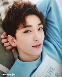 Guess it goes to prove what i already knew: Joshua Seventeen Facts And Profile Joshua S Ideal Type Updated