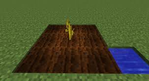 You cannot find melons in minecraft, you have to go look in chests from abandon mine shafts and look for melon seeds and plant them. Melon And Pumpkin Growth Minecraft Tutorial