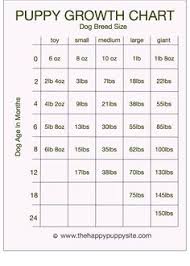 20 unmistakable american bulldog puppy weight chart