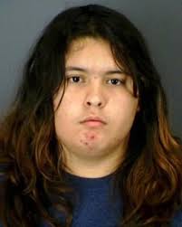 Thoughts about this and the female who pled guilty to the Palmyra fire that  destroyed landmark buildings, actually changing the whole uniqueness of  their downtown area?