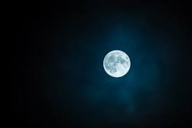 Trouvez des images de pleine lune. La Pleine Lune Mon Animal Et Moi Blog