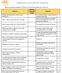 This lets the hormones travel to cells in other parts the endocrine system regulates how much of each hormone is released. Endothermic And Exothermic Activities Worksheets Tpt