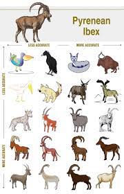 Can You Draw An Extinct Species From Memory The Revelator