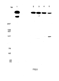 Complete downloading and install the game. Ep0201184a2 Process For Amplifying Nucleic Acid Sequences Google Patents