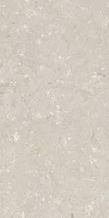 Image result for Stone Beige 1994 Reliant