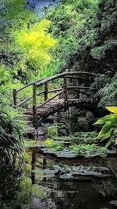 Isamu Taniguchi Japanese Garden S Togetsu Kyo Bridge At Zilker Botanical Gardens In Austin Texas Photo Japanese Garden Design Japanese Garden Garden Bridge