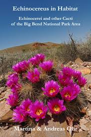 Primitive roadside campsites in big bend national park | photo copyright: Echinocereus In Habitat Echinocerei And Other Cacti Of The Big Bend National Park Area Ebook Echinocereus Online