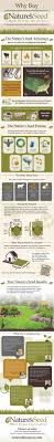 Why Buy Nature S Seed Infographic Best Grass Seed Places To Visit