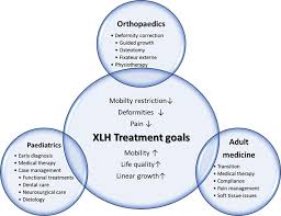 Multidisciplinary Patient Care In X Linked Hypophosphatemic Rickets One Challenge Many Perspectives Springerlink