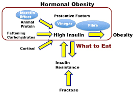 What And When To Eat To Reduce Insulin Diet Doctor