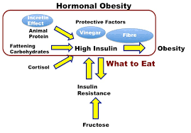 what and when to eat to reduce insulin diet doctor