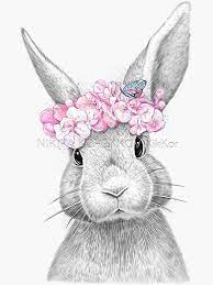 Certains coloriages de lapins sont tout mignons et rigolos ! Spring Bunny Sticker By Nikkor Redbubble Illustration De Lapin Dessin Animaux Mignons Dessin Lapin
