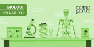 Apa Itu Bioteknologi Modern Biologi Kelas 12