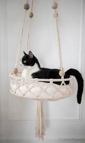 Simply the best cat bed because it provides a vertical space for your cat to perch, hang out, and watch all the action. Purrfectly Cute Diy Cat Bed Using Macrame Cord Cuckoo4design