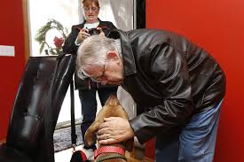 Family reunited with dog lost after accident