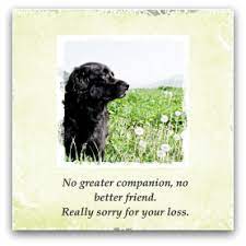  Pet Sympathy Card Messages Simple Sympathy Pet Sympathy Pet Sympathy Quotes Dog Sympathy