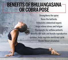 Maybe you would like to learn more about one of these? Yoga Bhujangasana Or Cobra Pose And Its Health Benefits Femina In