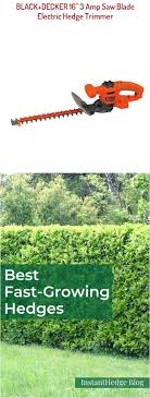 Black And Decker Electric Hedge Trimmer Black Decker 16 3 Amp Saw Blade Electric Hedge Trimmer Gender Unisex In 2020 Hedge Trimmers Fast Growing Hedge Black Decker