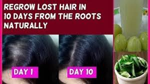 This tip sounds strange, but haircuts will help to resolve the split ends, which may break your hair.furthermore, hair breakage will make your hair not shiny, smooth, and thick. Regrow Lost Hair In 10 Days From The Roots Guaranteed No Hair Loss And Fast Hair Growth Your Gardening Forum