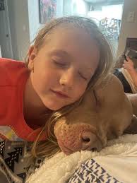 Rehoming 3.5 year old male dog in Leander, Texas