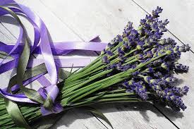 You can streaming and download for free. Kenapa Bunga Lavender Layu Ternyata Ini Penyebabnya Halaman All Kompas Com