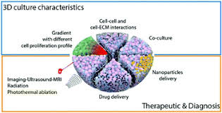 Download many free stl files for 3d printers. 3d Cultures For Modeling Nanomaterial Based Photothermal Therapy Nanoscale Horizons Rsc Publishing
