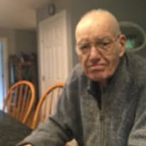 envying a cat's summer relaxation