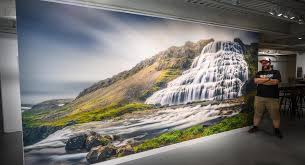 Check spelling or type a new query. Mural Print Custom Wall Murals Wall Printing