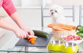 Consult your veterinarian before changing your pets' diet. Tips For Making Home Cooked Dog Food Lovetoknow