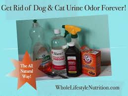 Get Rid Of Dog And Cat Urine Odors The All Natural Way Whole Lifestyle Nutrition Pet Urine Smell Dog Urine Odor Remover Cat Urine Smells