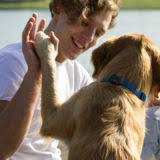 Check spelling or type a new query. Puppy Socialization Checklist Printable Disruptivedog Com