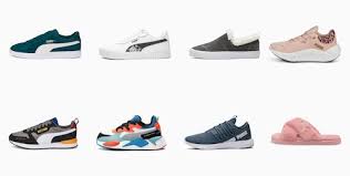Image result for Puma 10