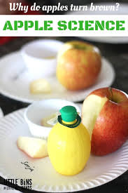 If using a produce wash, follow the package directions. Why Do Apples Turn Brown Little Bins For Little Hands