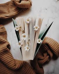 Pin By Marta Fabian Saladie On Good In 2020 Book Aesthetic Aesthetic Vintage Book Photography