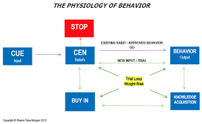 Behavior modification is an integrated strategy intended to modify a distinct undesirable repugnant behavior. Behavior Modification Doesn T Modify Behaviors An Essay On Why It Fails And What To Use Instead Sharon Drew Morgen