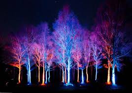 Pin By Kevin Smith On Landshaftnoe Osveshenie Landscape Lighting Design Landscape Lighting Exterior Lighting