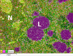 Image result for alloy edx micrograph