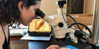 Photos to inspire a more sustainable world