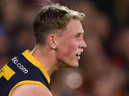 AFL news 2024: Brayden Cook Adelaide Crows, Adelaide Crows news 2024