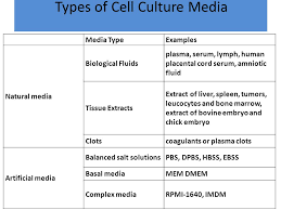 Maybe you would like to learn more about one of these? Cell Culture Media And Supplements Ppt Download