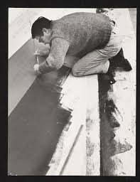 Image result for Kenneth Noland