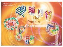 The Protein Chart
