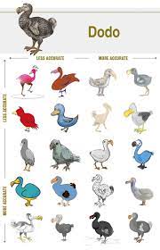 May 06, 2019 · biologists use a variety of words to describe a given animal's metabolism (that is, the nature and speed of the chemical processes taking place inside its cells). Extinct Animals With Names And Pictures