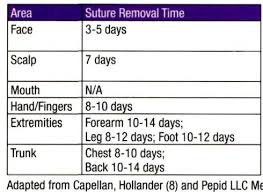 How Long Will Absorbable Suture Hold Medical Assistant