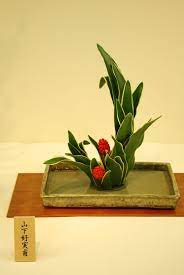 Ikebana Ikebana Arrangements Ikebana Flower Arrangement Ikebana