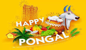 Pongal takes its name from the famous traditional tamilian food of the same name and is dedicated to lord surya or the sun god. Pongal Itrustyou19