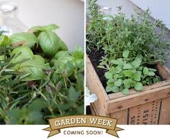 Coming Soon Garden Week Lost Fawned Herb Garden Vegetable Garden Design Veggie Garden
