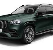 Arch Extensions for Mercedes GLS AMG 63 X167 - Larte Design